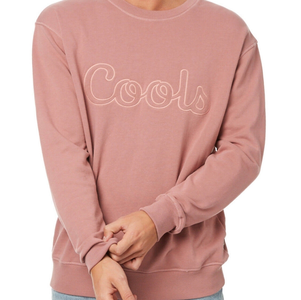 Barney cools pink sweatshirt